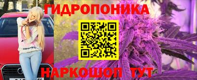 стафф Жуковский