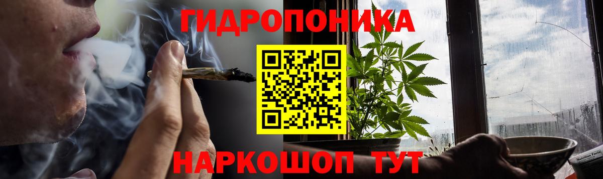 Конопля планчик  Шишки марихуана VHQ  Балтийск  Канабис план  Вход с VPN 